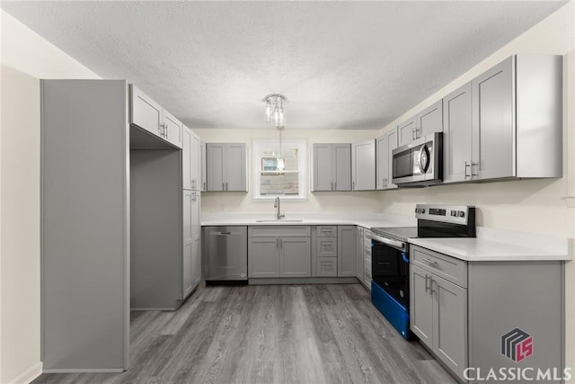 kitchen with light wood-style flooring, stainless steel appliances, a sink, light countertops, and gray cabinets