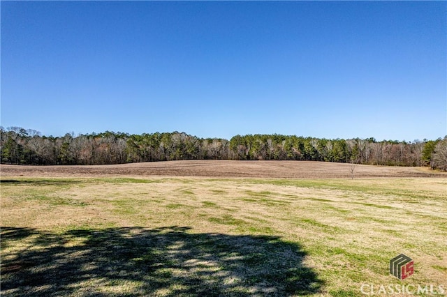 view of yard featuring a rural view and a forest view