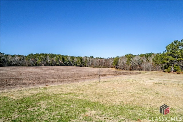 view of yard featuring a forest view