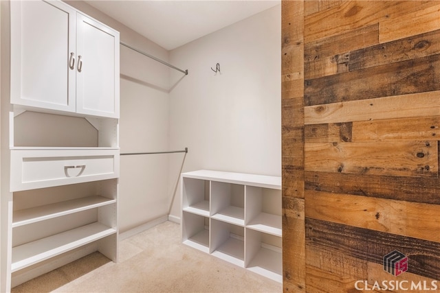 spacious closet with light carpet