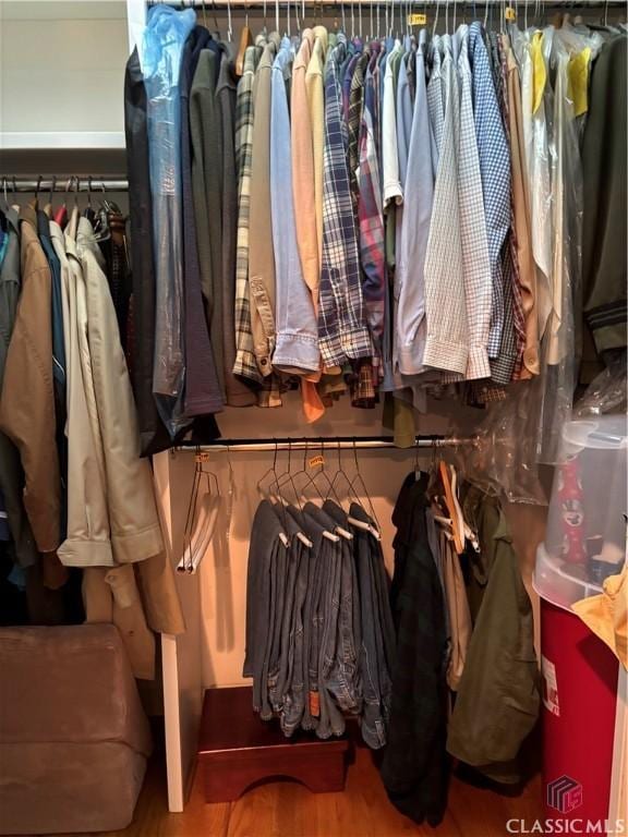 spacious closet featuring wood finished floors