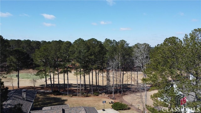 Listing photo 3 for 1041 Shadow Creek Way, Greensboro GA 30642