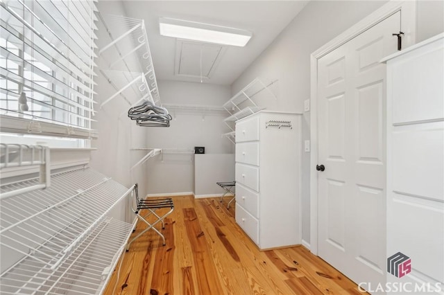 spacious closet featuring light wood finished floors and attic access