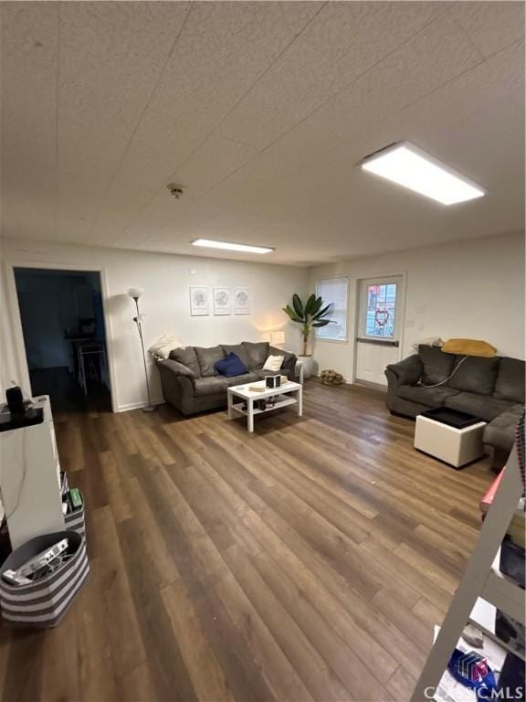 living room featuring wood finished floors