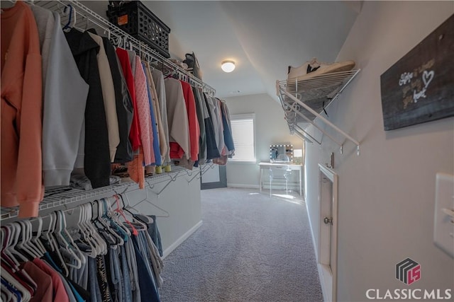 walk in closet with carpet floors