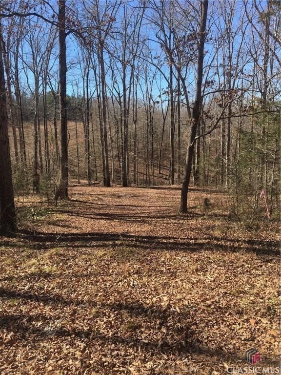 151 Sandy Springs Dr, Athens, GA 30601