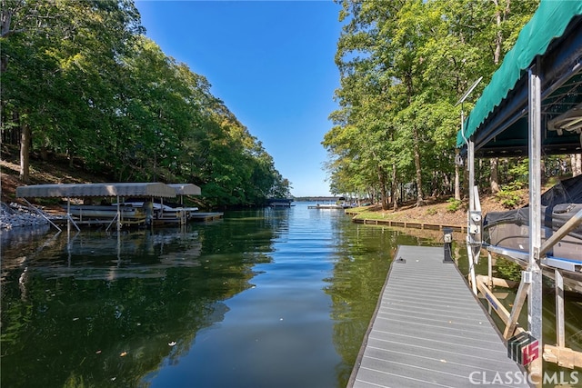 dock area with a water view