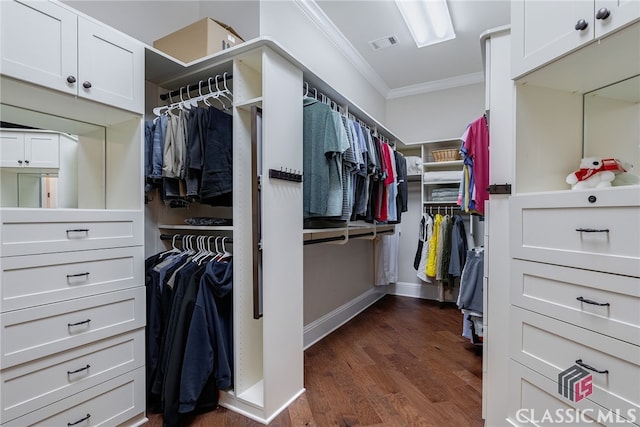 spacious closet featuring visible vents and dark wood-style flooring