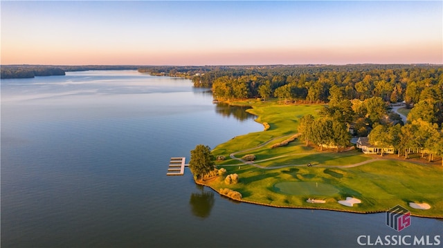 drone / aerial view with a water view and a view of trees