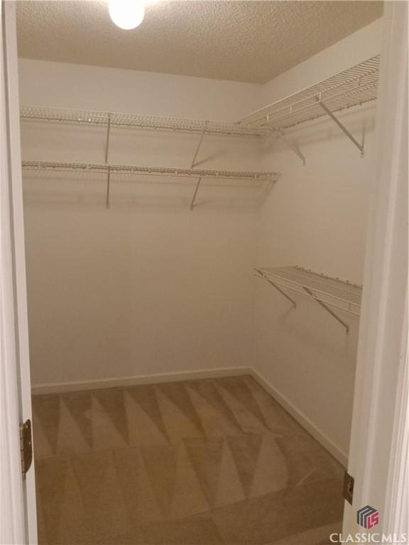 spacious closet featuring light colored carpet