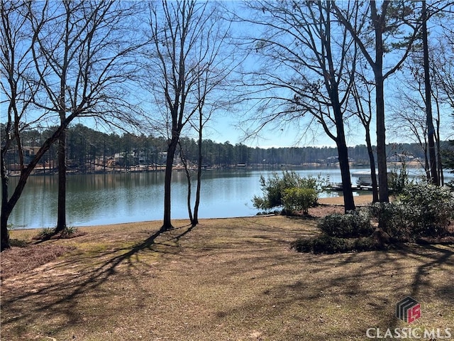 water view with a view of trees