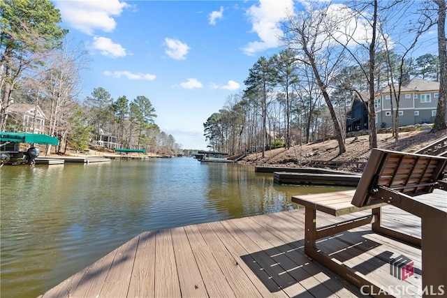 dock area with a water view