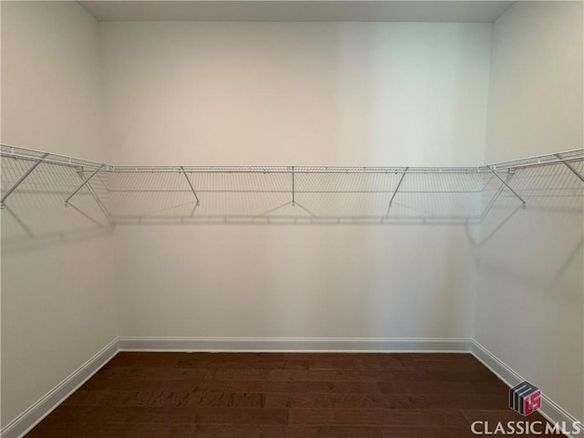 spacious closet featuring dark wood finished floors