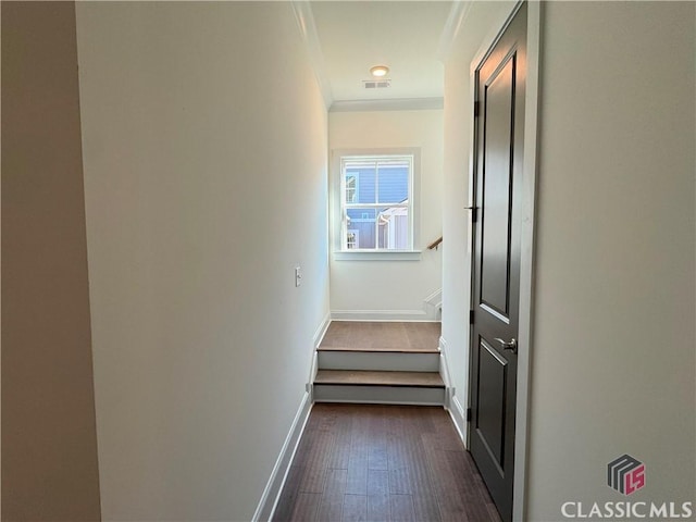 corridor with baseboards, visible vents, dark wood-type flooring, and ornamental molding