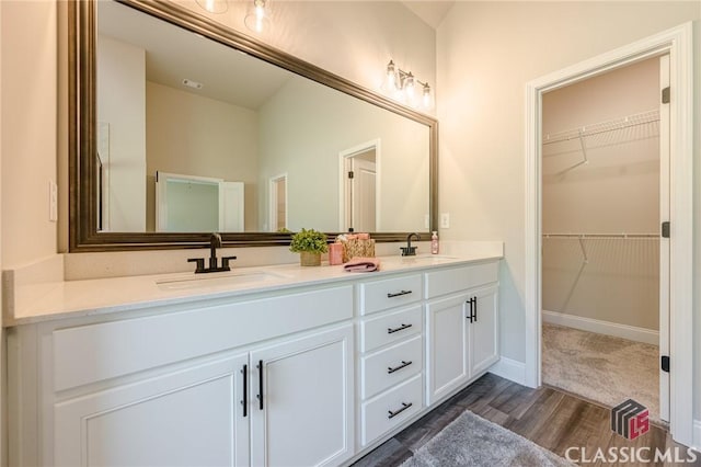 bathroom with a sink, a spacious closet, and double vanity