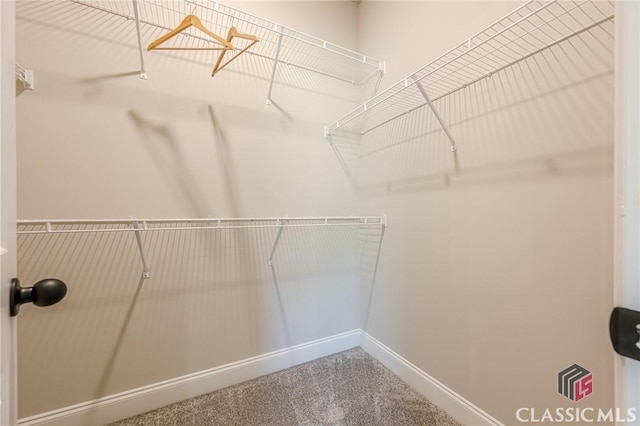 walk in closet featuring carpet