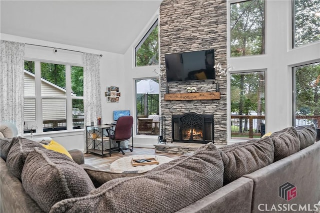 living area featuring high vaulted ceiling, a stone fireplace, and wood finished floors