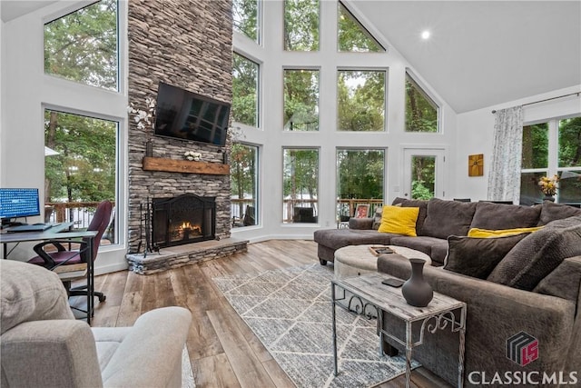 living area featuring high vaulted ceiling, a stone fireplace, and wood finished floors