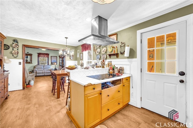 kitchen with a wainscoted wall, black electric stovetop, a textured ceiling, island range hood, and light wood-type flooring