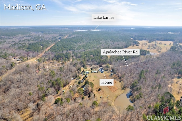 bird's eye view with a forest view