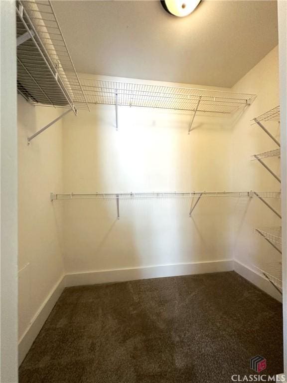 walk in closet featuring dark colored carpet