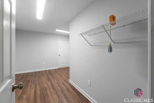 walk in closet with dark wood finished floors