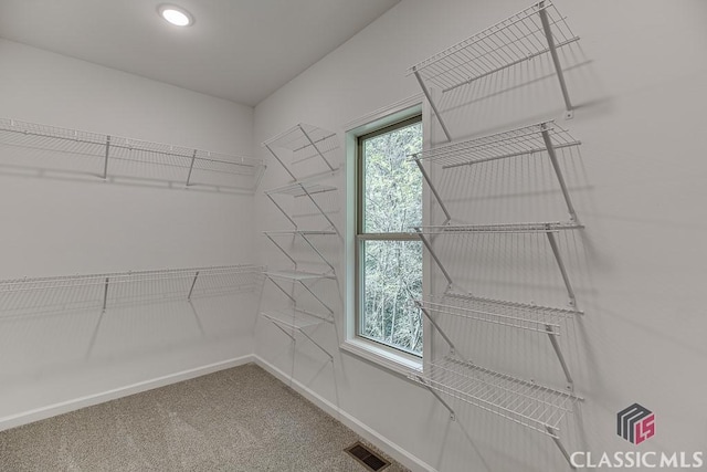 spacious closet featuring visible vents and carpet flooring