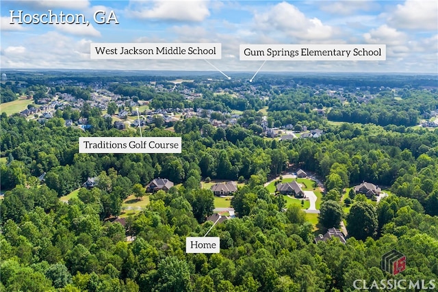 bird's eye view with a view of trees