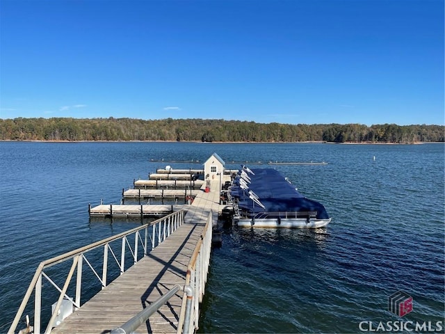 dock area featuring a water view