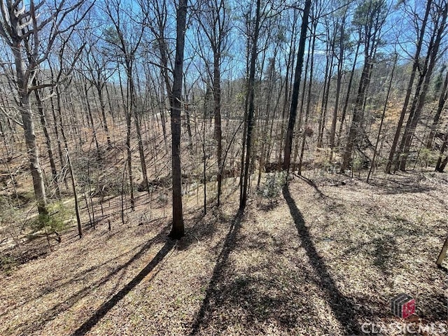 view of local wilderness featuring a forest view