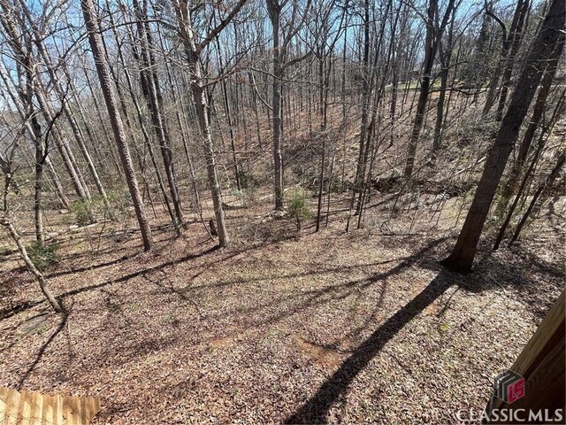 view of local wilderness