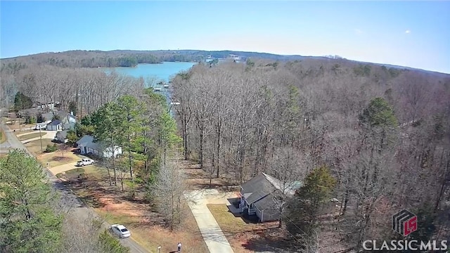 bird's eye view with a forest view