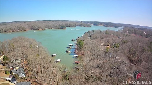 birds eye view of property featuring a water view and a view of trees