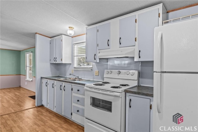 kitchen with light wood-style flooring, under cabinet range hood, a sink, dark countertops, and white appliances