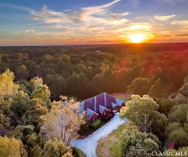 bird's eye view