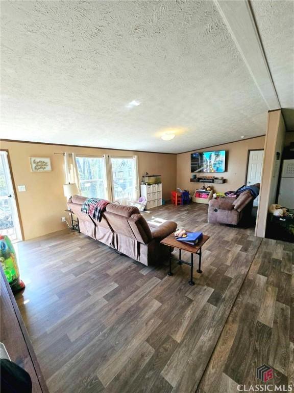 305 Langford Carey Rd, Danielsville, GA 30633 - living room with wood finished floors and a textured ceiling