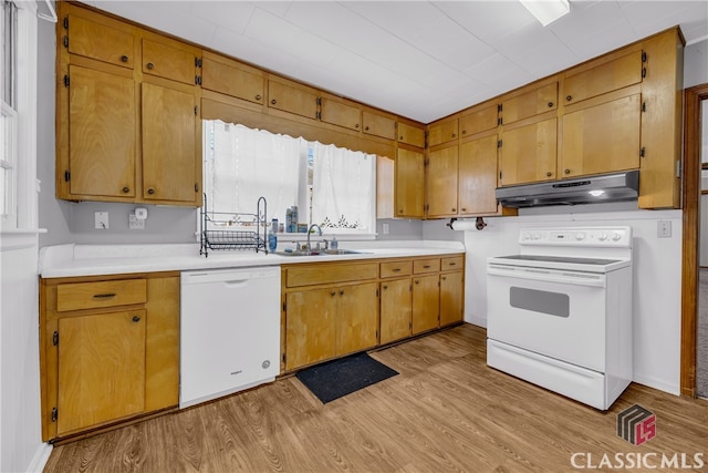 kitchen with white appliances, a sink, light countertops, under cabinet range hood, and light wood-type flooring