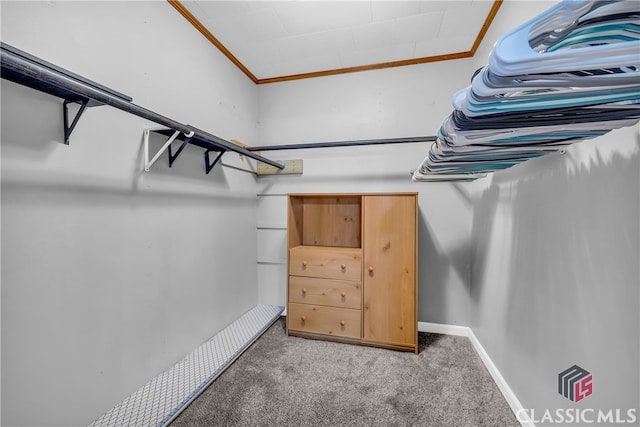 spacious closet with carpet floors