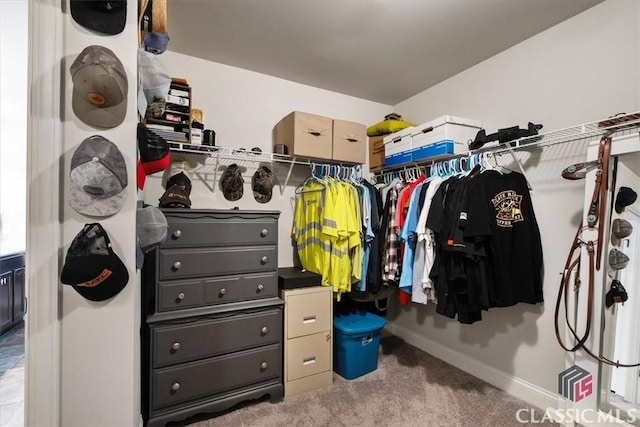 spacious closet with carpet flooring