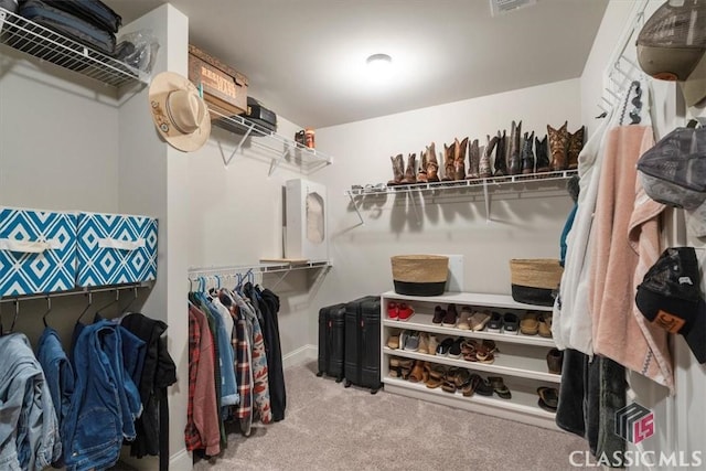 walk in closet featuring carpet floors