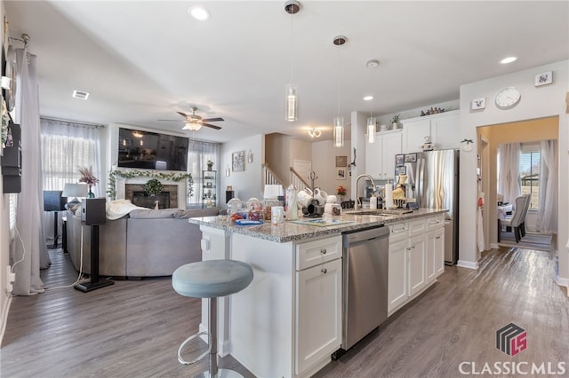 kitchen with appliances with stainless steel finishes, wood finished floors, ceiling fan, and a sink