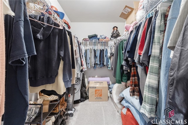 spacious closet featuring carpet