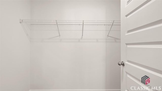 view of walk in closet