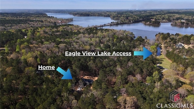 2850 Caboose Ct, Greensboro, GA 30642 - bird's eye view with a water view and a wooded view