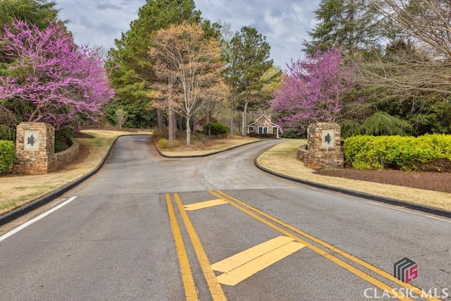view of road with curbs