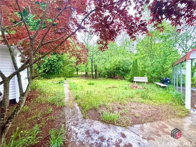 626 Vine St, Athens, GA 30601 - view of yard