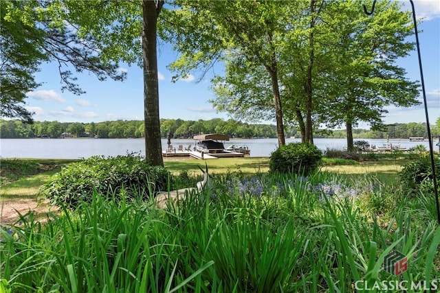 view of water feature featuring a dock