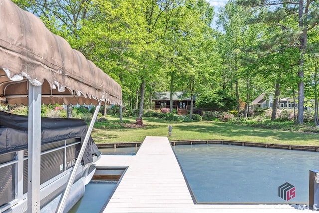 dock area featuring a yard
