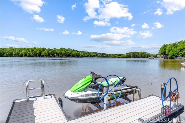dock area featuring a water view