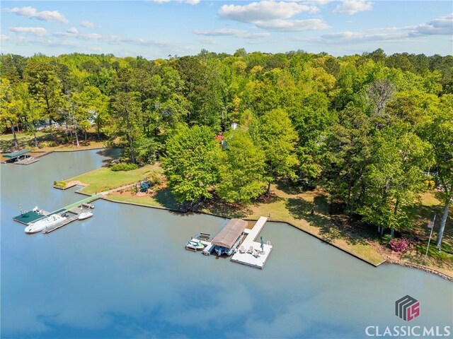 drone / aerial view featuring a view of trees and a water view